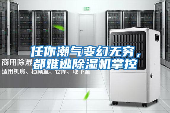 任你潮氣變幻無(wú)窮，都難逃除濕機掌控