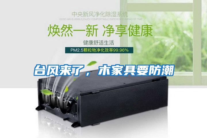 臺風(fēng)來(lái)了，木家具要防潮