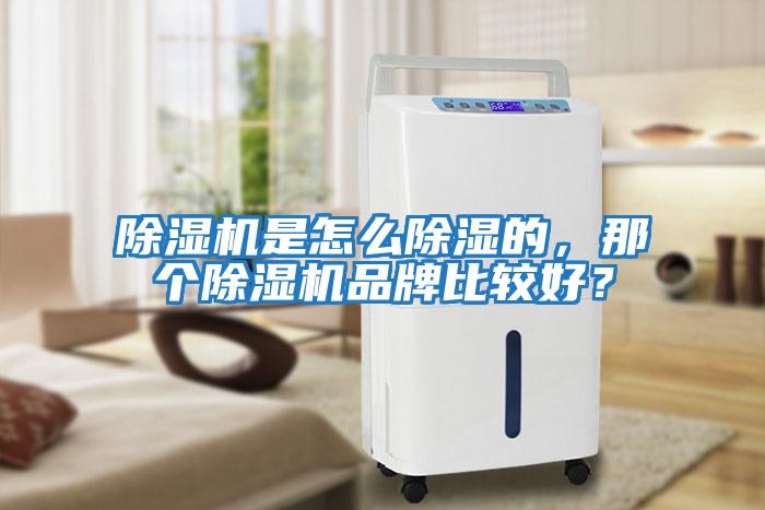 除濕機是怎么除濕的,那個(gè)除濕機品牌比較好?