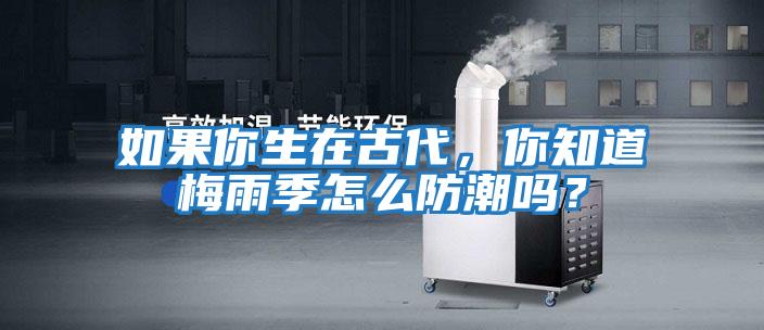 如果你生在古代，你知道梅雨季怎么防潮嗎？