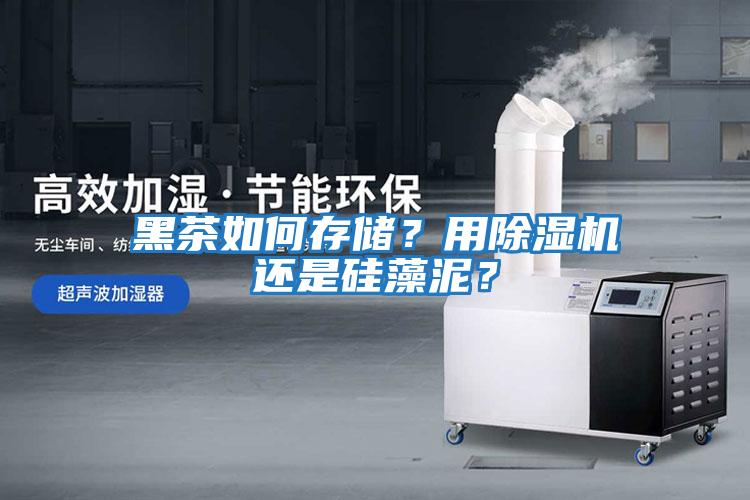 黑茶如何存儲？用除濕機還是硅藻泥？