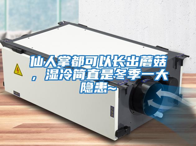 仙人掌都可以長(cháng)出蘑菇，濕冷簡(jiǎn)直是冬季一大隱患~