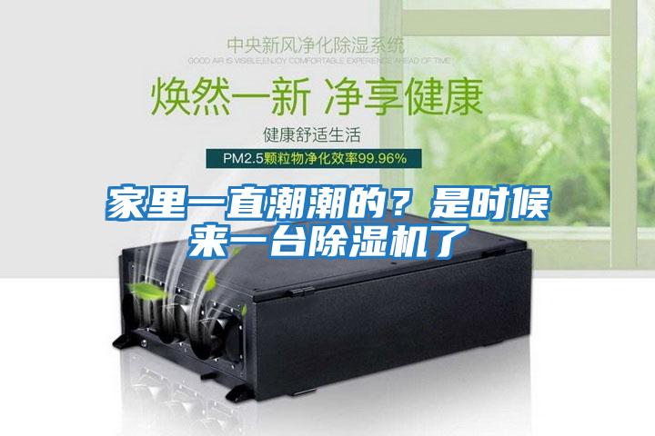 家里一直潮潮的？是時(shí)候來(lái)一臺除濕機了