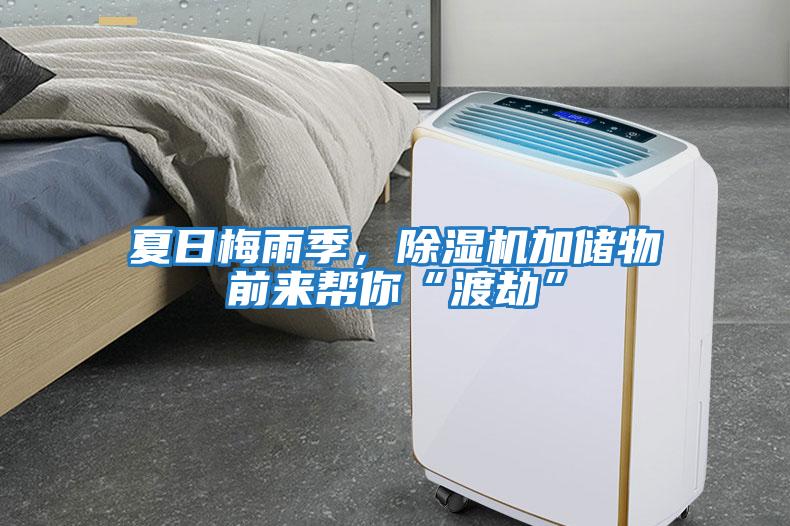 夏日梅雨季，除濕機加儲物前來(lái)幫你“渡劫”