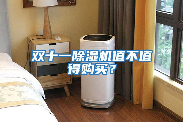 雙十一除濕機值不值得購買(mǎi)？