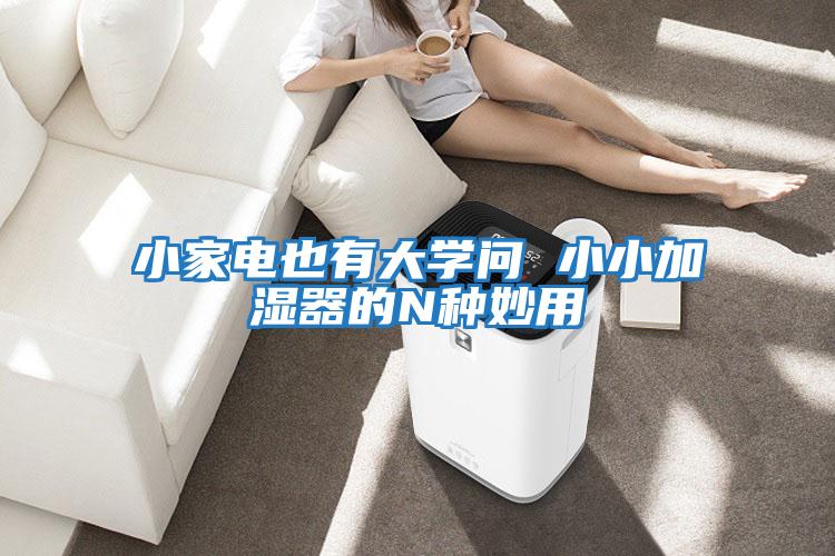 小家電也有大學(xué)問(wèn) 小小加濕器的N種妙用