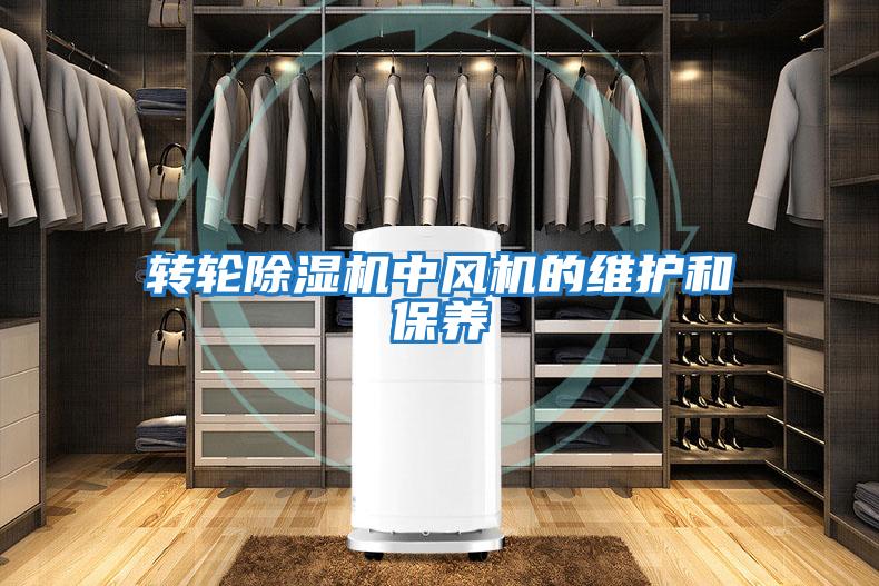 轉輪除濕機中風(fēng)機的維護和保養