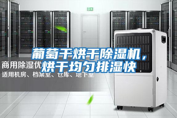 葡萄干烘干除濕機，烘干均勻排濕快