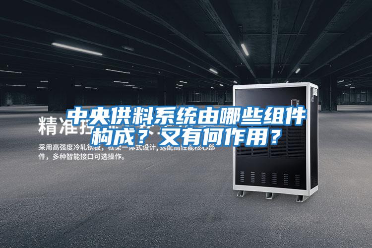 中央供料系統由哪些組件構成？又有何作用？