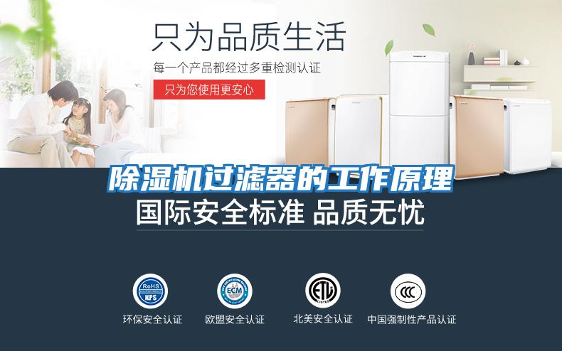 除濕機過(guò)濾器的工作原理