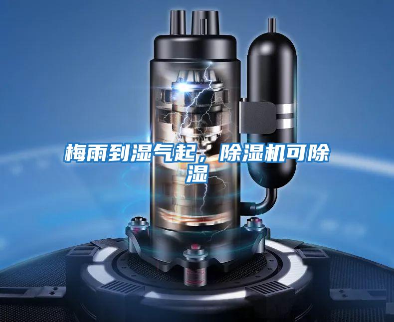 梅雨到濕氣起，除濕機可除濕