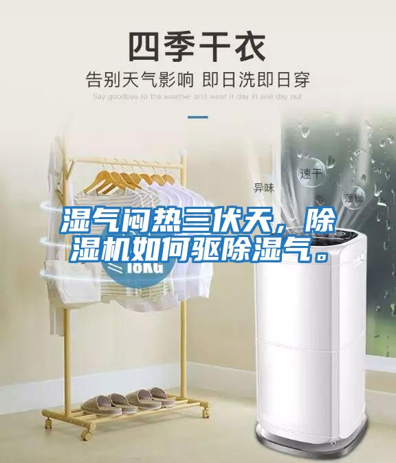 濕氣悶熱三伏天，除濕機如何驅除濕氣。