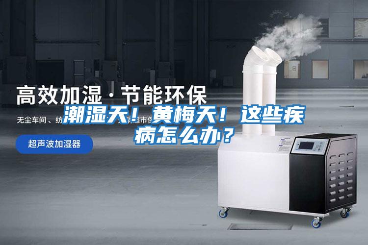潮濕天！黃梅天！這些疾病怎么辦？