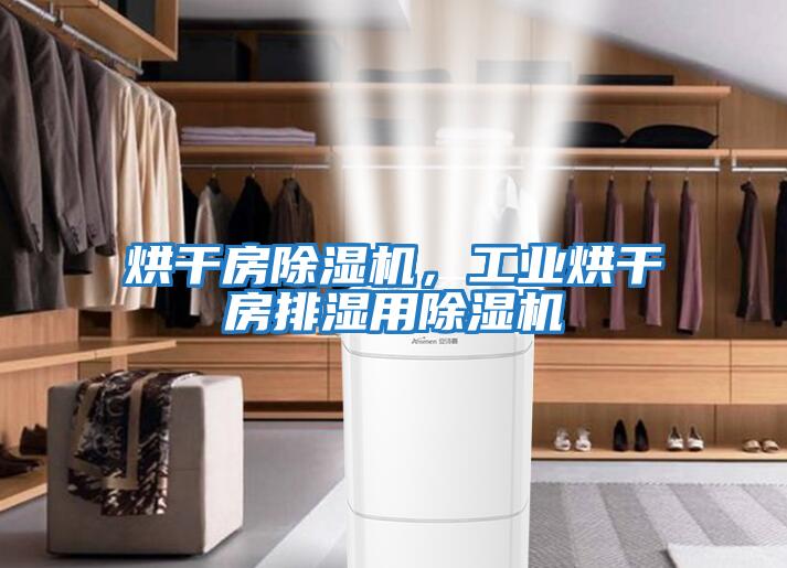 烘干房除濕機，工業(yè)烘干房排濕用除濕機