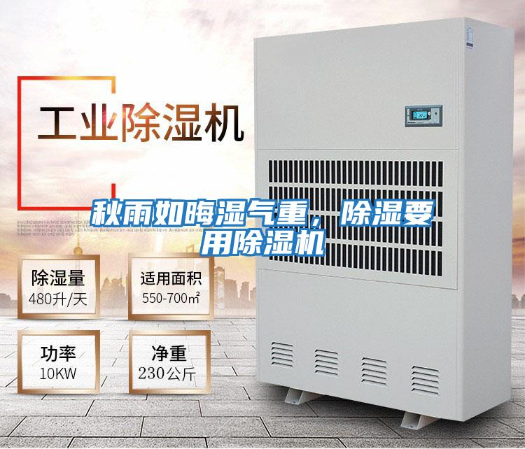 秋雨如晦濕氣重，除濕要用除濕機