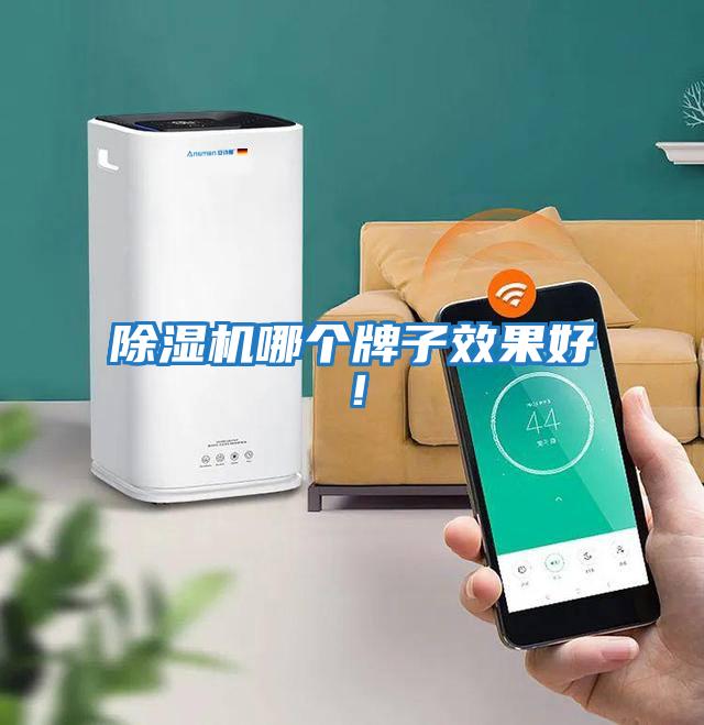 除濕機哪個(gè)牌子效果好！