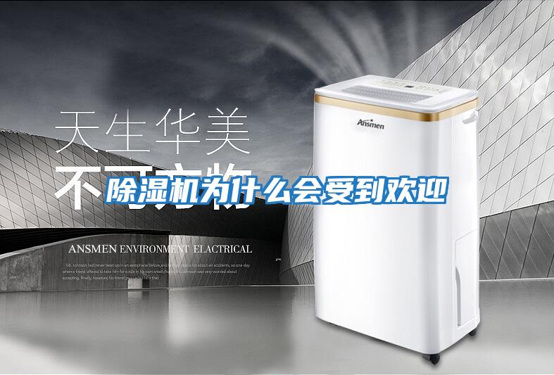 除濕機為什么會(huì )受到歡迎