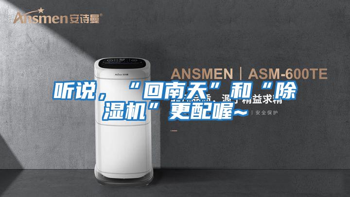 聽(tīng)說(shuō)，“回南天”和“除濕機”更配喔~