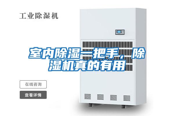 室內除濕一把手，除濕機真的有用