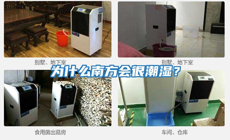 為什么南方會(huì )很潮濕？