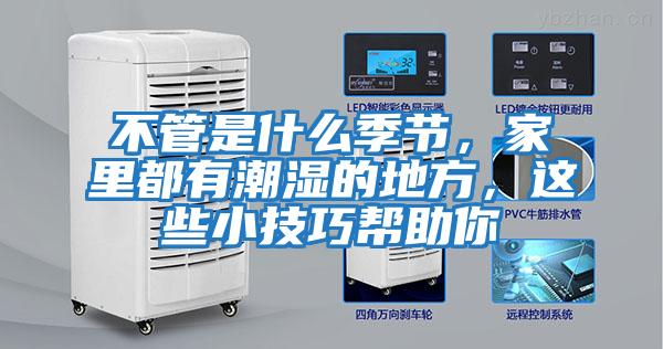 不管是什么季節，家里都有潮濕的地方，這些小技巧幫助你