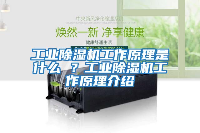 工業(yè)除濕機工作原理是什么 ？工業(yè)除濕機工作原理介紹