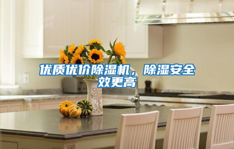 優(yōu)質(zhì)優(yōu)價(jià)除濕機，除濕安全效更高