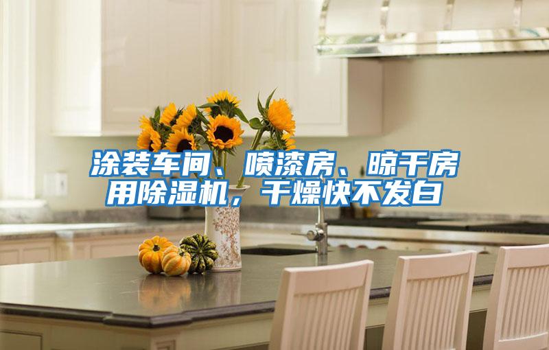 涂裝車(chē)間、噴漆房、晾干房用除濕機，干燥快不發(fā)白