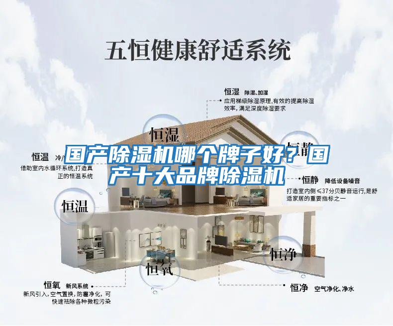 國產(chǎn)除濕機哪個(gè)牌子好？國產(chǎn)十大品牌除濕機