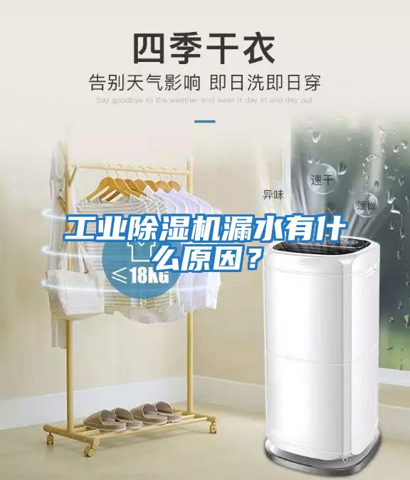 工業(yè)除濕機漏水有什么原因？