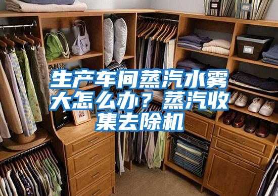 生產(chǎn)車(chē)間蒸汽水霧大怎么辦？蒸汽收集去除機