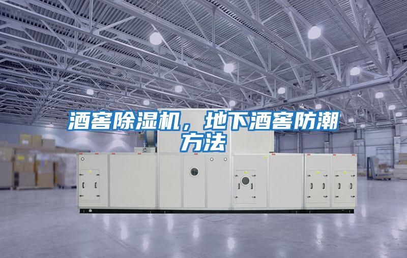 酒窖除濕機，地下酒窖防潮方法