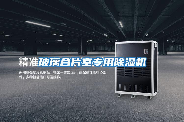玻璃合片室專(zhuān)用除濕機