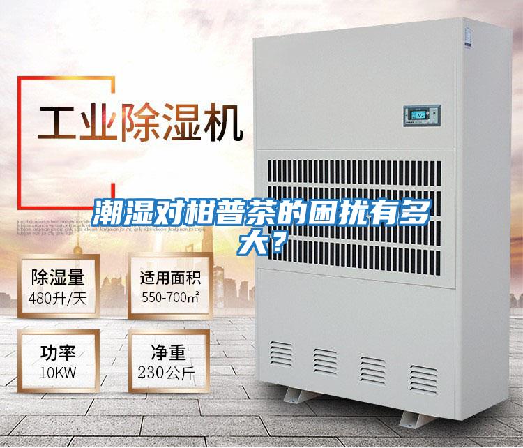 潮濕對柑普茶的困擾有多大？