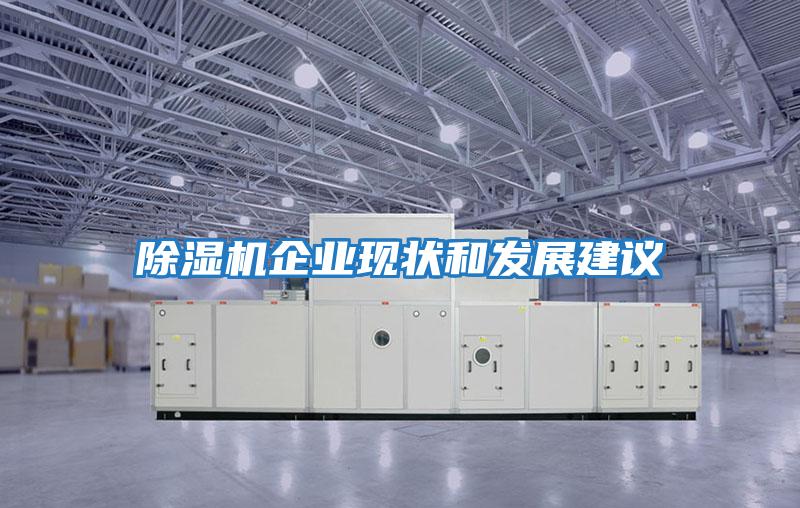 除濕機企業(yè)現狀和發(fā)展建議