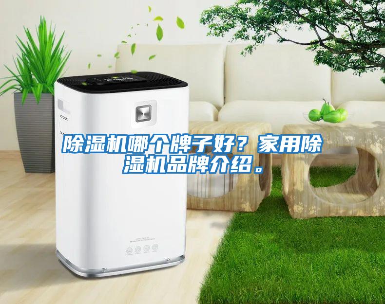 除濕機哪個(gè)牌子好？家用除濕機品牌介紹。
