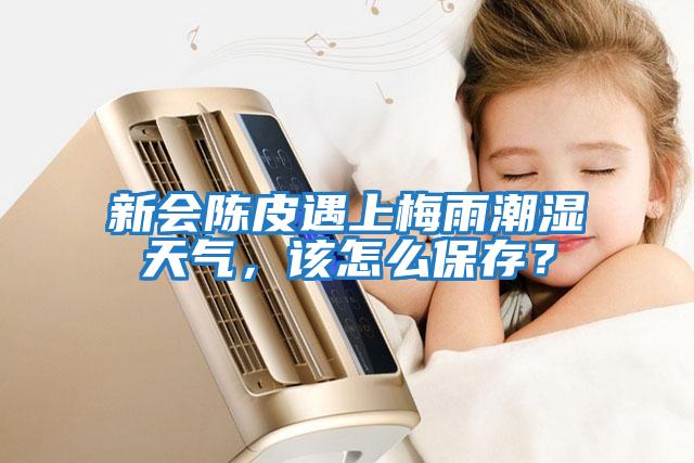 新會(huì )陳皮遇上梅雨潮濕天氣，該怎么保存？