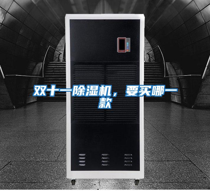 雙十一除濕機，要買(mǎi)哪一款