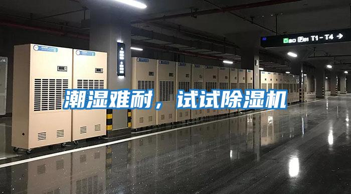 潮濕難耐，試試除濕機