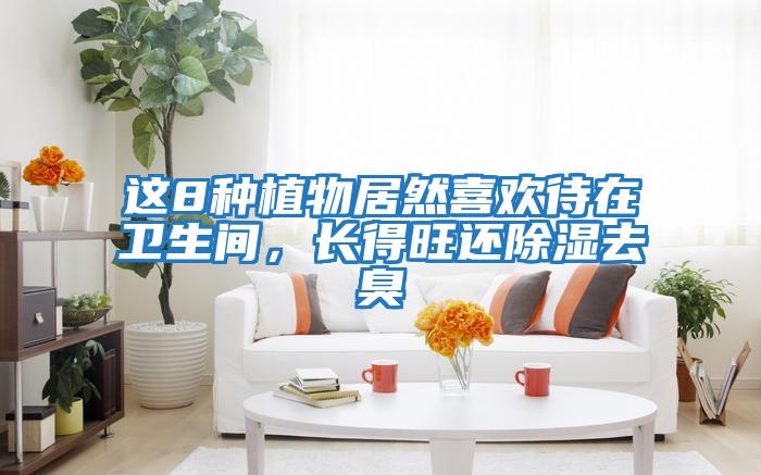 這8種植物居然喜歡待在衛生間，長(cháng)得旺還除濕去臭