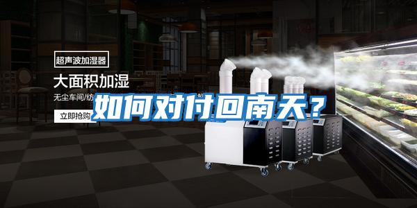 如何對付回南天？