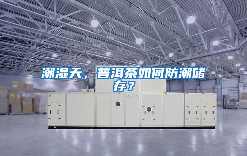 潮濕天，普洱茶如何防潮儲存？