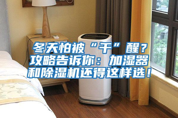 冬天怕被“干”醒？攻略告訴你：加濕器和除濕機還得這樣選！
