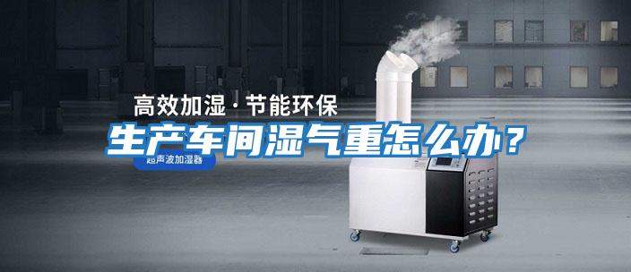 生產(chǎn)車(chē)間濕氣重怎么辦？