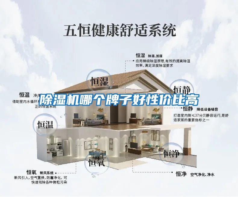 除濕機哪個(gè)牌子好性?xún)r(jià)比高