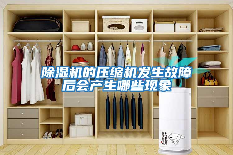 除濕機的壓縮機發(fā)生故障后會(huì )產(chǎn)生哪些現象