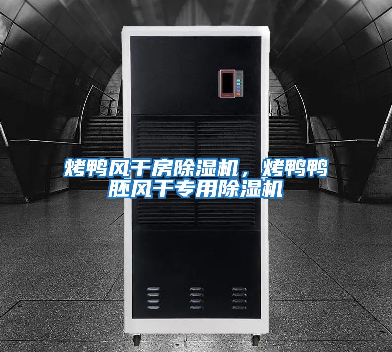 烤鴨風(fēng)干房除濕機，烤鴨鴨胚風(fēng)干專(zhuān)用除濕機