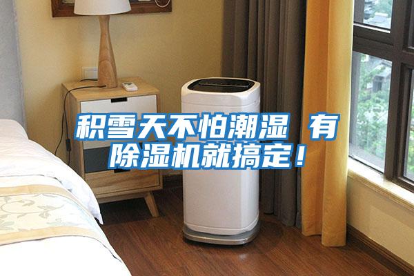 積雪天不怕潮濕 有除濕機就搞定！