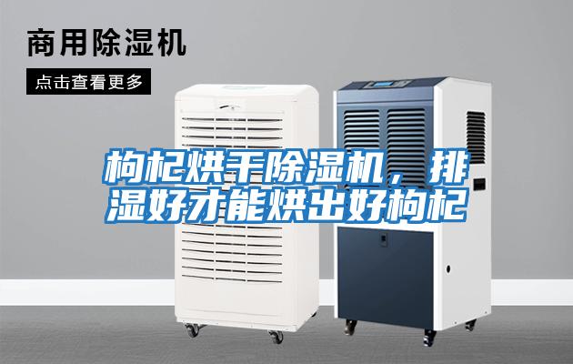 枸杞烘干除濕機，排濕好才能烘出好枸杞