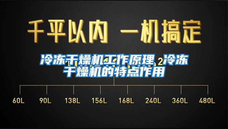 冷凍干燥機工作原理 冷凍干燥機的特點(diǎn)作用